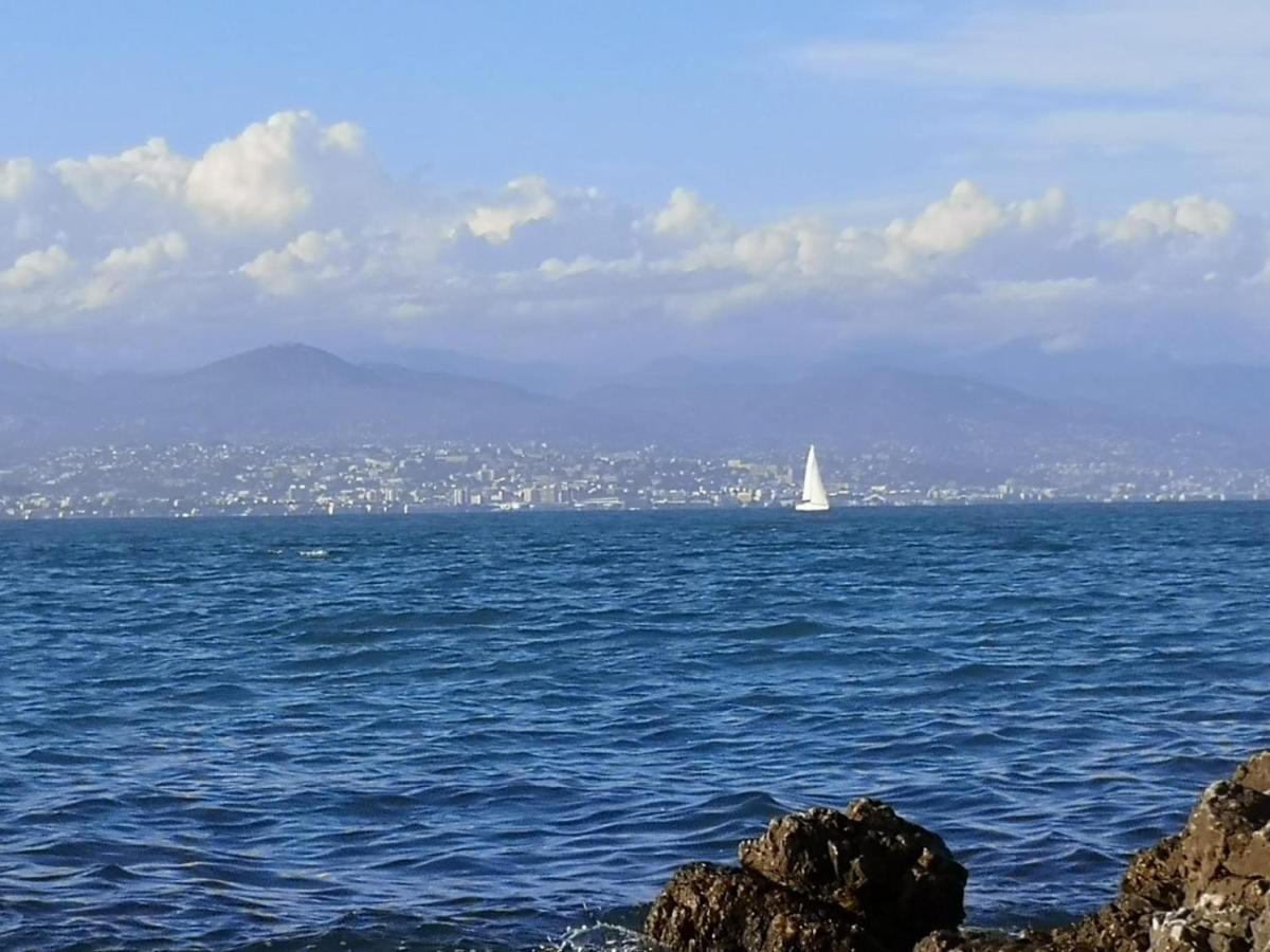 Apartamento Palme D'Or Cannes Exterior foto